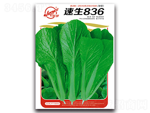 ����836-С�ײ˷N��-�z��