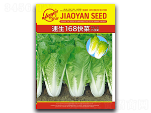 ����168���-С�ײ˷N��-�z��