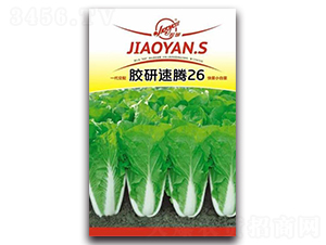 �z�����v26-С�ײ˷N��-�z��