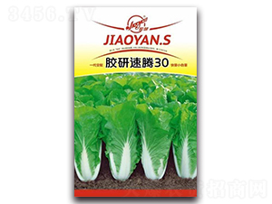 �z�����v30-С�ײ˷N��-�z��