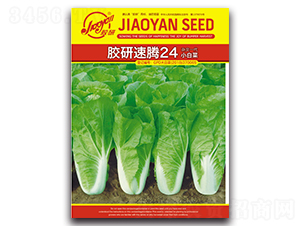 �z�����v24С�ײ�-С�ײ˷N��-�z��