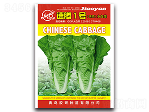 ���v1̖-С�ײ˷N��-�z��