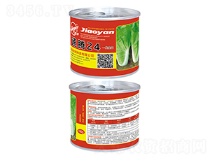 �z�����v24��ƿ�b��-С�ײ˷N��-�z��