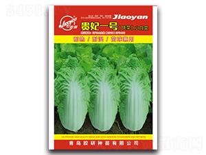 �F��һ̖-С�ײ˷N��-�z��