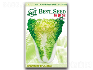 �z��58-�ﲥ�ײ˷N��-�z��