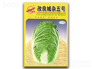 �������s��̖-�ﲥ�ײ˷N��-�z��