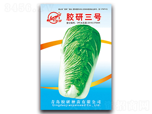 �z����̖-�ﲥ�ײ˷N��-�z��