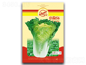 С�s56-�ﲥ�ײ˷N��-�z��