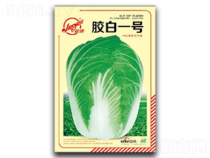 �z��һ̖-�ﲥ�ײ˷N��-�z��