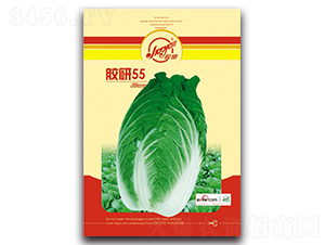 �z��55-�ﲥ�ײ˷N��-�z��