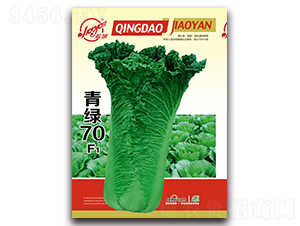 ��G70F1-�ﲥ�ײ˷N��-�z��