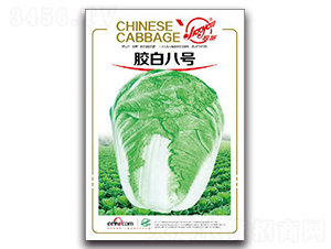 �z�װ�̖-�ﲥ�ײ˷N��-�z��