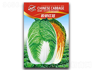 �z�мt��-�ﲥ�ײ˷N��-�z��