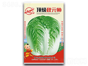 피���Ԫ��-�ﲥ�ײ˷N��-�z��