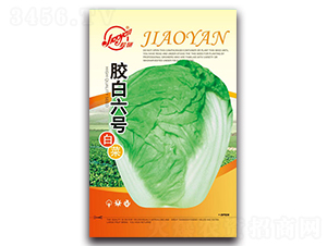 �z���z����̖-�ﲥ�ײ˷N��-�z��