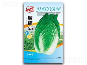 �z��55�ײ�-�ﲥ�ײ˷N��-�z��