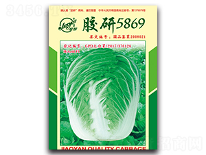 �z��5869-�ﲥ�ײ˷N��-�z��