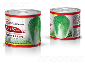 87-114�ײˣ�ƿ�b��-�ﲥ�ײ˷N��-�z��