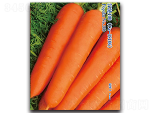 �h�Y100-���}���N��-�h��