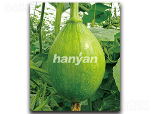 �h���̖-�ϹϷN��-�h��