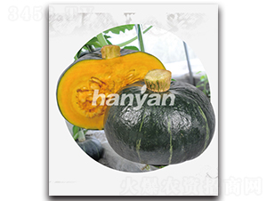 �h�����\-�ϹϷN��-�h��