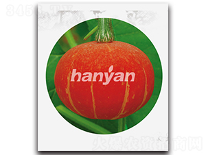 �h���t�\-�ϹϷN��-�h��