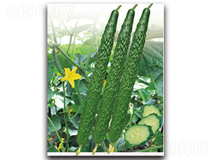 �h��12̖(h��o)-�S�ϷN��-�h��