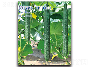 �h�д���(y��u)-�S�ϷN��-�h��