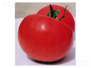 �R��-���ѷN��-���N