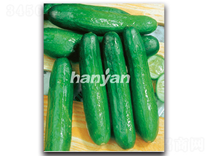 �h������7̖(h��o)-�S�ϷN��-�h��