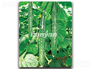 �h��8̖(h��o)-�S�ϷN��-�h��