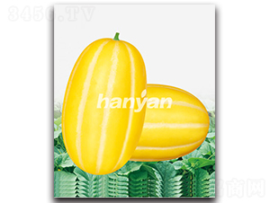 �h֔(j��n)����-��ϷN��-�h��