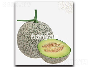 �h�W(w��ng)һ̖(h��o)-��ϷN��-�h��