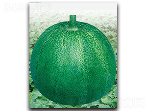 �h��G��-��ϷN��-�h��