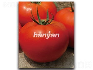 �h�rһ̖��T-22301��-���ѷN��-�h��