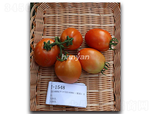 �_�Rһ̖-���ѷN��-�h��