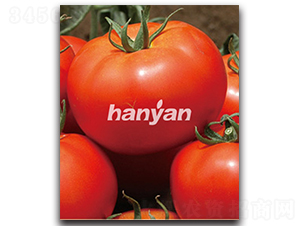 �h�r��̖��T-22302��-���ѷN��-�h��