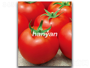 �hӯ��̖(h��o)-���ѷN��-�h��