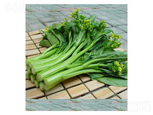 ���m-���ķN��-���N