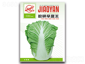 �z��������-�Ĳ��ײ˷N��-�z��