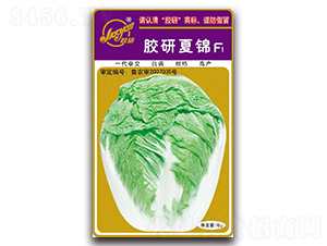 �z�����\F1-�Ĳ��ײ˷N��-�z��