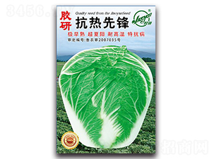 �z�п������h-�Ĳ��ײ˷N��-�z��