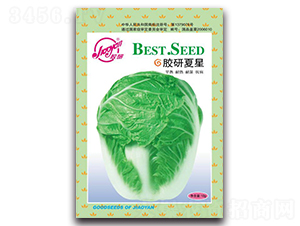 �z������-�Ĳ��ײ˷N��-�z��