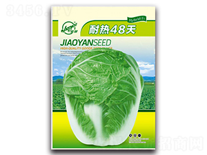 �͟�48��-�Ĳ��ײ˷N��-�z��