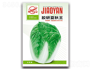 �z��������-�Ĳ��ײ˷N��-�z��