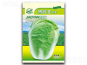 �z�ПΌ��-�Ĳ��ײ˷N��-�z��