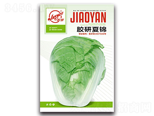 �z�����\-�Ĳ��ײ˷N��-�z��