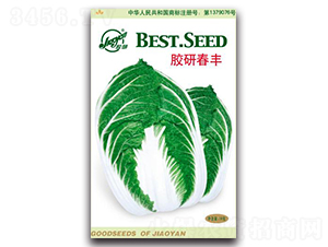 �z�д��S-�����ײ˷N��-�z��