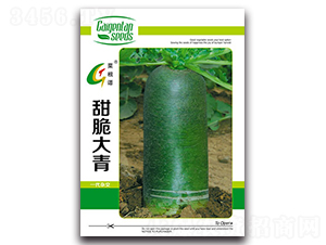 ������-�}���N��-�����N�I(y��)