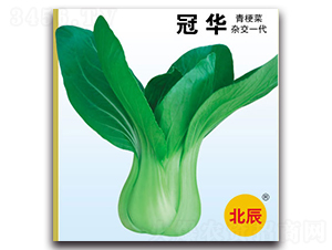 ���A-�๣�˷N��-�����N�I(y��)